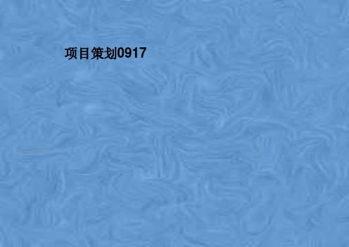 项目策划0917