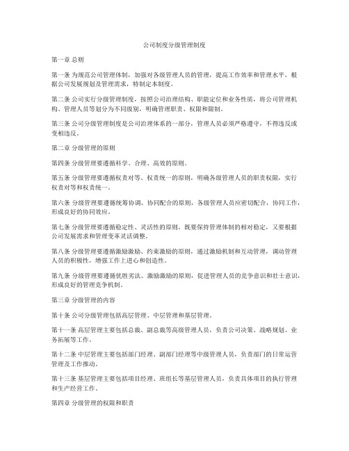 公司制度分级管理制度