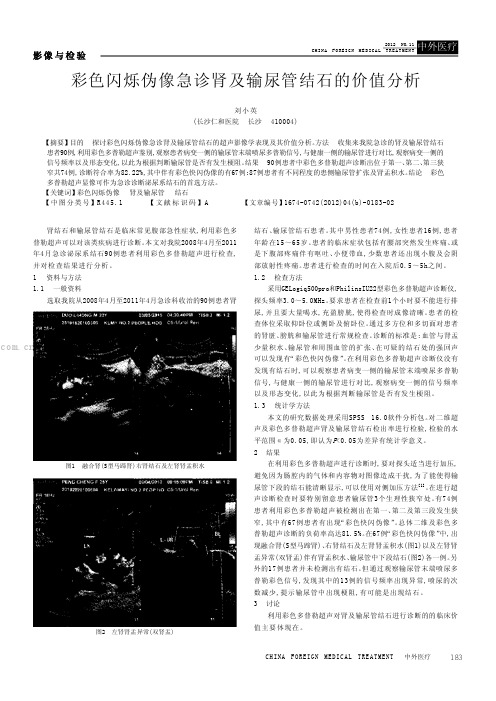 彩色闪烁伪像急诊肾及输尿管结石的价值分析”