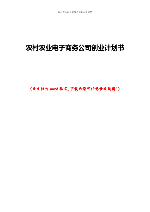 农村农业电子商务公司创业计划书