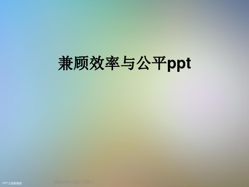 兼顾效率与公平ppt