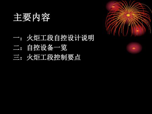 火炬自控大型煤化工项目安全装置