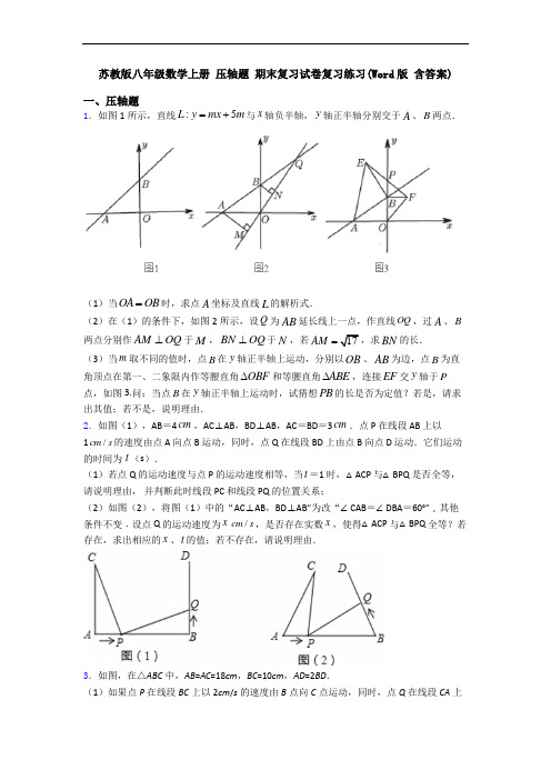 苏教版八年级数学上册 压轴题 期末复习试卷复习练习(Word版 含答案)