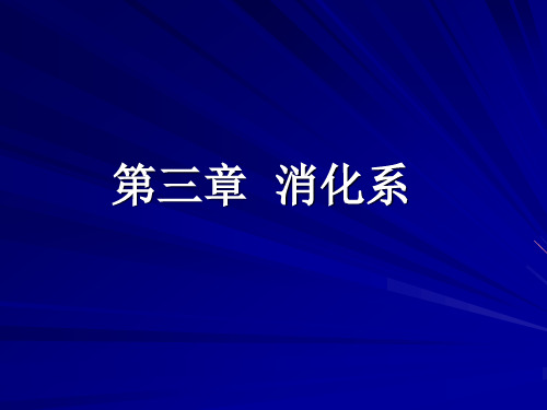 动物解剖学  第三章 消化系统