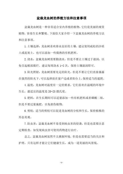 盆栽龙血树的养殖方法和注意事项