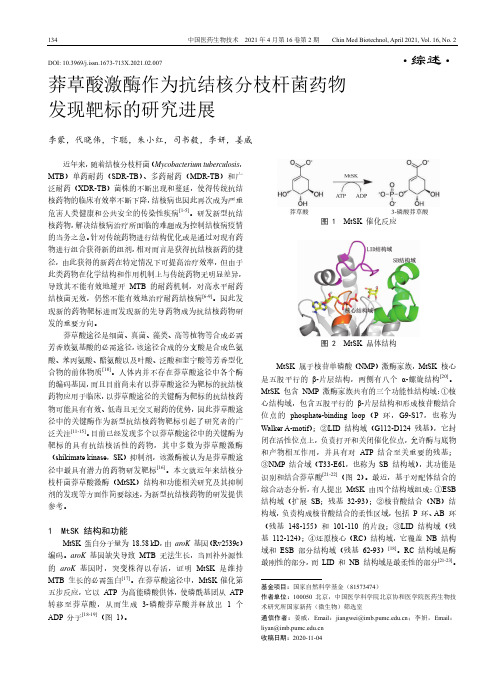 莽草酸激酶作为抗结核分枝杆菌药物发现靶标的研究进展