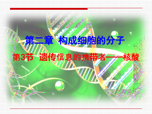 遗传信息的携带者—核酸说课稿公开课一等奖课件省赛课获奖课件