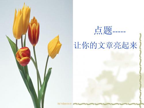 点题上课