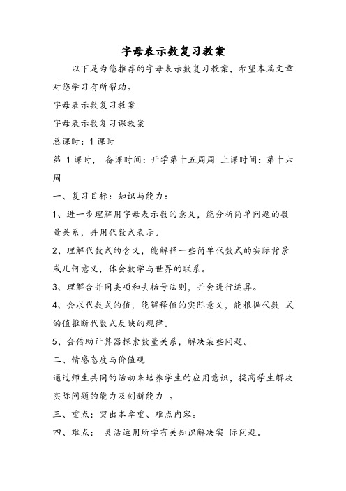 [精品教案]字母表示数复习教案