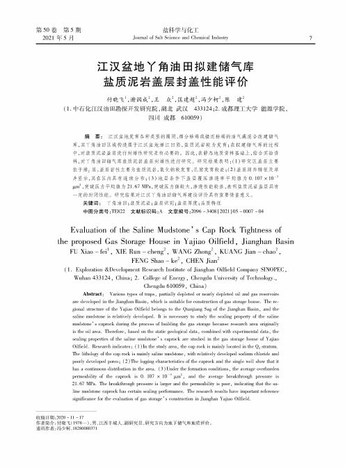 江汉盆地丫角油田拟建储气库盐质泥岩盖层封盖性能评价