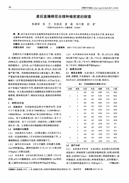 麦后直播棉花合理种植密度的探索