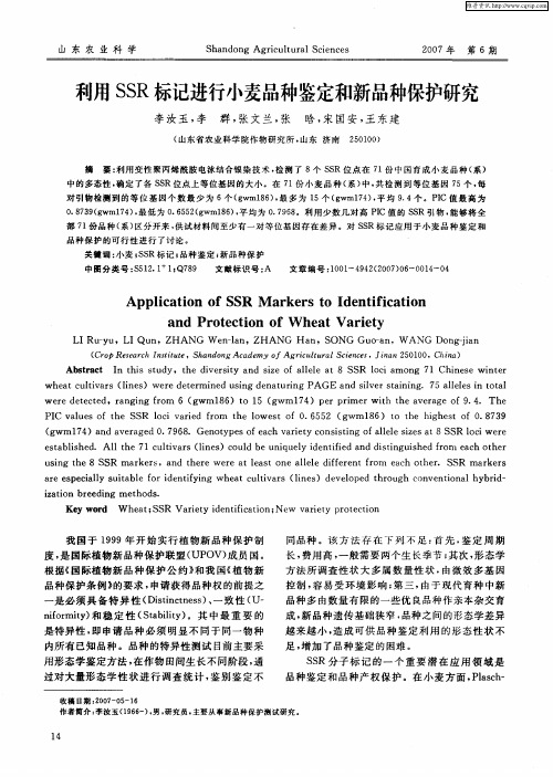 利用SSR标记进行小麦品种鉴定和新品种保护研究