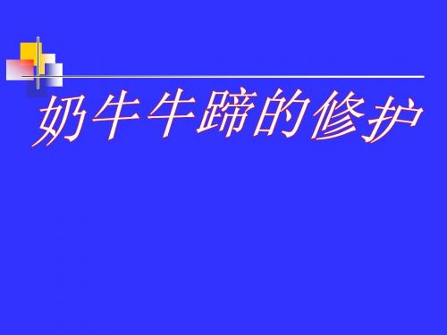 奶牛牛蹄的修护.ppt