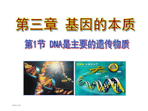 DNA是主要的遗传物质PPT(上课用)