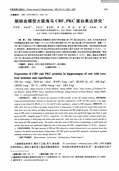 脑缺血模型大鼠海马CRF、PKC蛋白表达研究