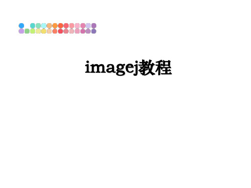 最新imagej教程PPT课件