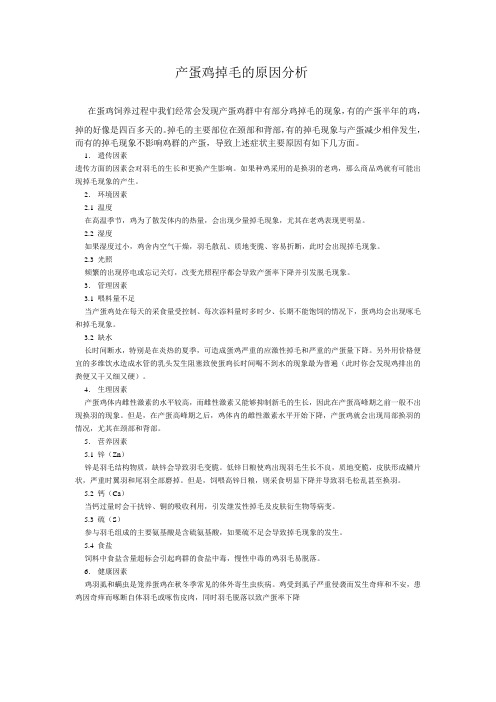 产蛋鸡掉毛的原因分析MicrosoftWord文档