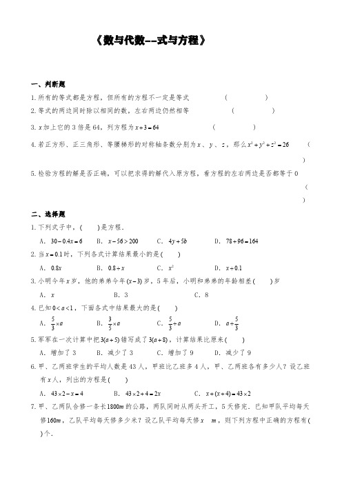 苏教版六年级数学下册试题 一课一练《数与代数--式与方程》 【含答案】