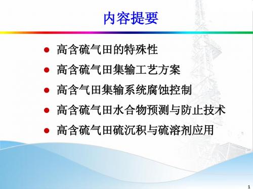 高含硫气田集输工程设计的关键技术