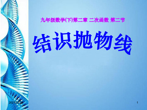 初中九年级下册数学 《结识抛物线》二次函数PPT优秀课件