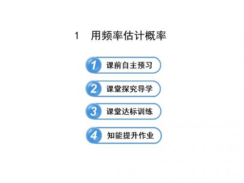 鲁教版(五四学制)八年级下册课件 10.1 用频率估计概率