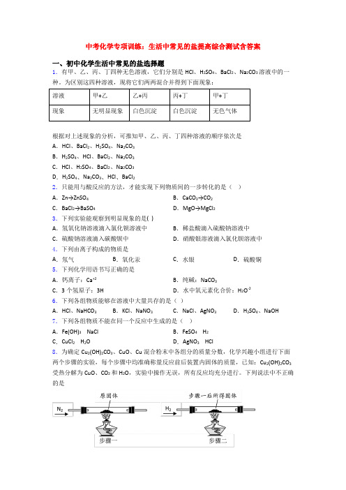 中考化学专项训练：生活中常见的盐提高综合测试含答案