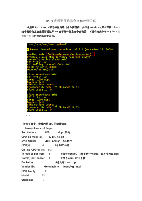 linux查看硬件信息的命令详解