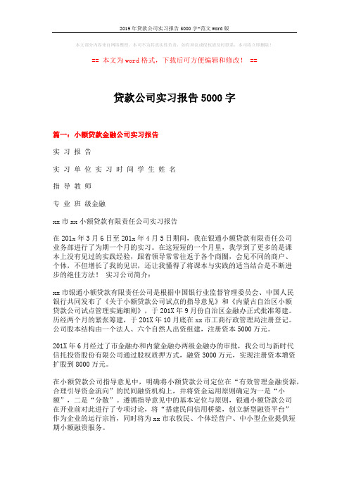 2019年贷款公司实习报告5000字-范文word版 (8页)