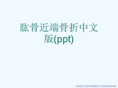 肱骨近端骨折中文版(ppt)