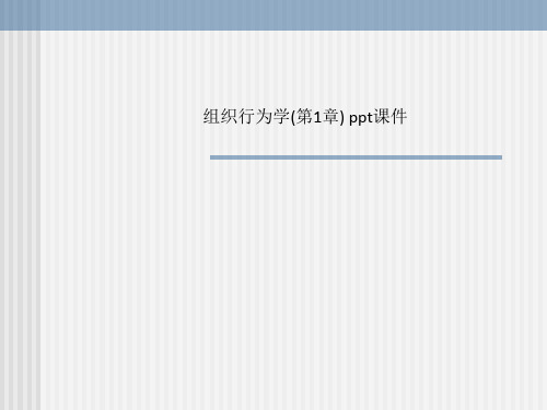 组织行为学(第1章) ppt课件_
