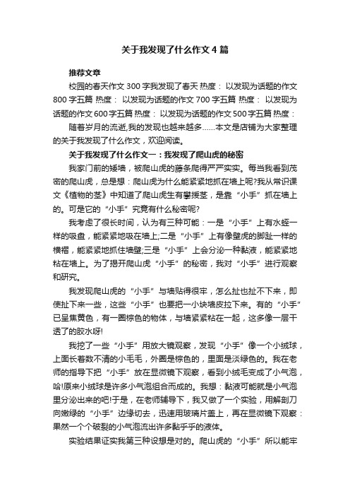 关于我发现了什么作文4篇