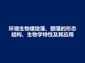 环境生物螺旋藻、颤藻的形态结构、生物学特性及其应用