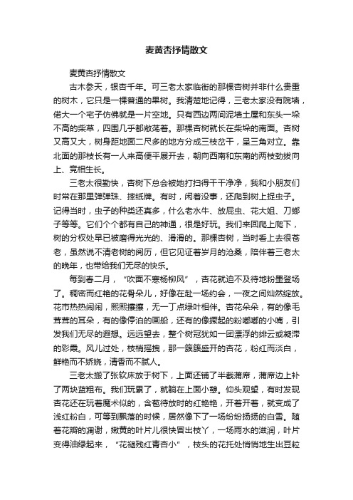 麦黄杏抒情散文