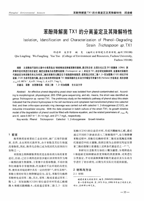 苯酚降解菌TX1的分离鉴定及其降解特性