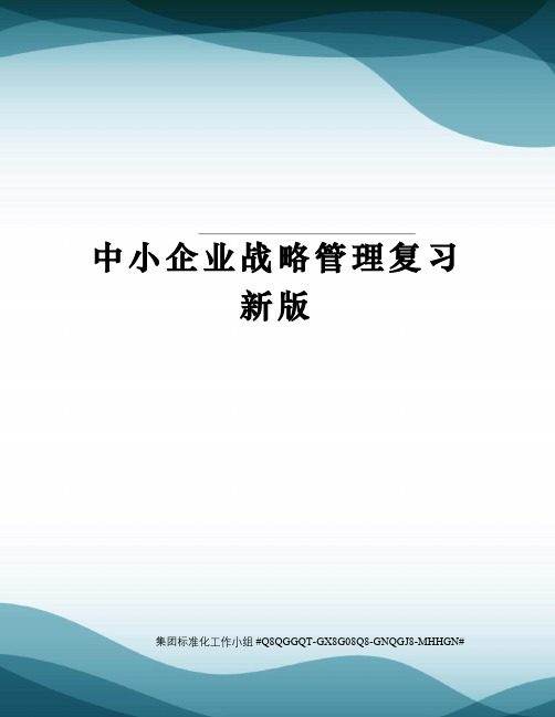 中小企业战略管理复习新版精修订