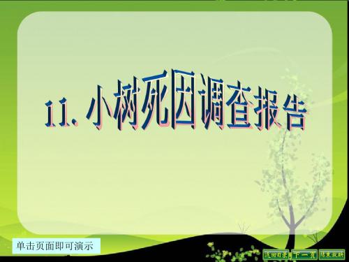 最新语文S版四年级语文下册11、小树死因调查报告ppt课件(ppt公开课优质教学课件)B