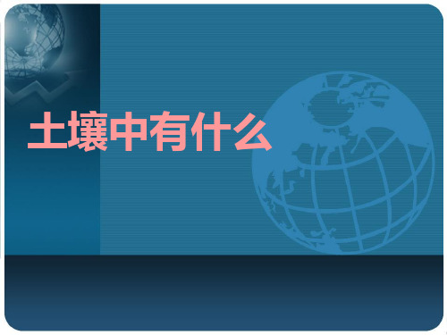 教科版小学科学五年级上册科学 3.4土壤中有什么 课件(12ppt)