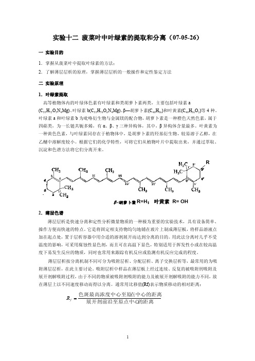 实验十二菠菜叶叶绿素的提取和分离