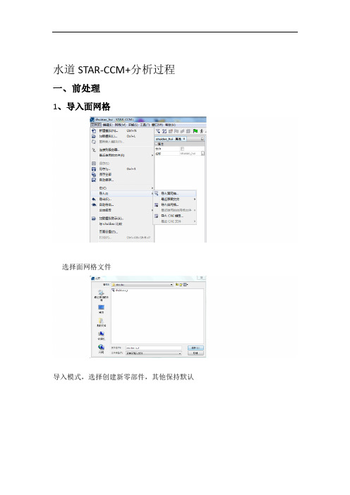 水道STARCCM分析过程