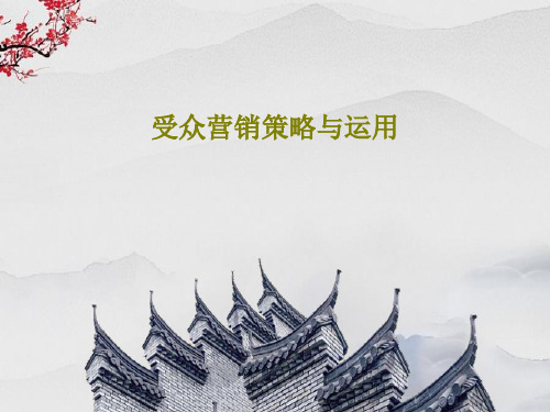 受众营销策略与运用70页PPT