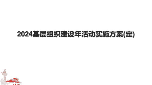 2024基层组织建设年活动实施方案(定)