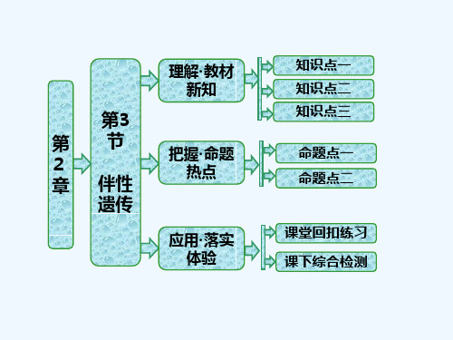 《三维设计》人教版必修2课件第2章第3节伴性遗传