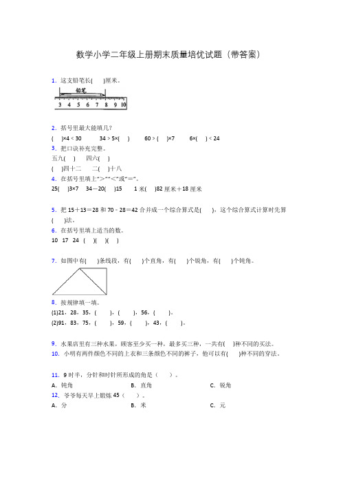 数学小学二年级上册期末质量培优试题(带答案)