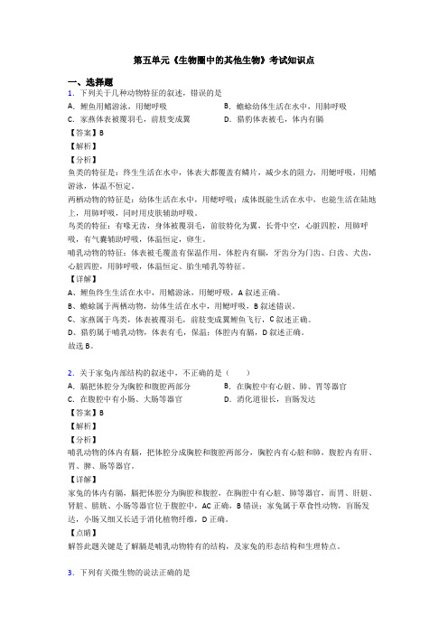 第五单元《生物圈中的其他生物》考试知识点