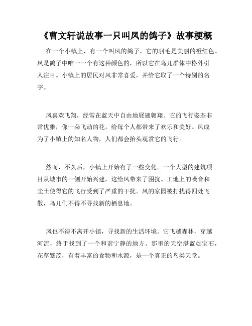 《曹文轩说故事一只叫凤的鸽子》故事梗概