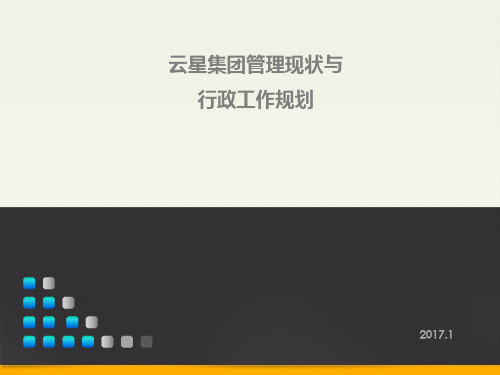 集团管理现状分析及下一步工作建议与计划PPT