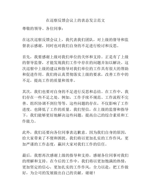 在巡察反馈会议上的表态发言范文