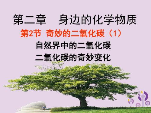 2018年九年级化学上册第2章身边的化学物质2.2奇妙的二氧化碳(1)课件沪教版