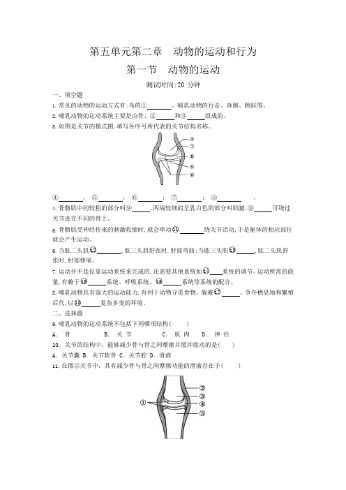 人教版生物八年级上册 5.2.1 动物的运动 同步测试题