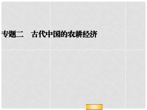 高考历史二轮复习全攻略 考前抢分必备 专题二 古代中